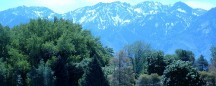 for rent in UT: park