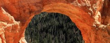 apartments in utah: utah canyon