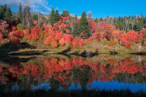 apts utah: fire basin