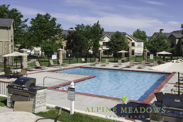 The Pool at Alpine Meadows Apartments