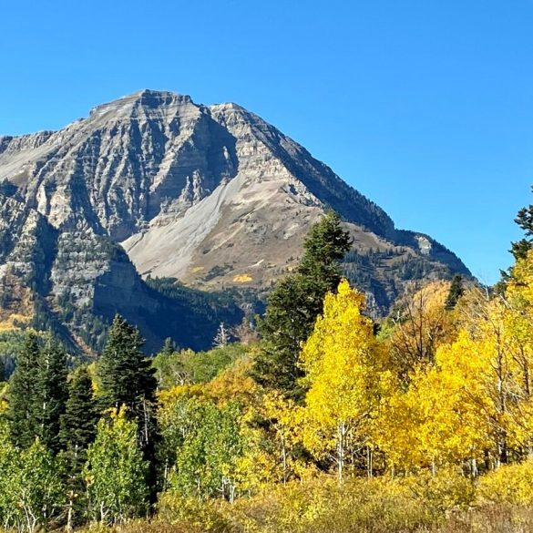 Utah Apartments Near Public Transportation Routes | Apts Utah